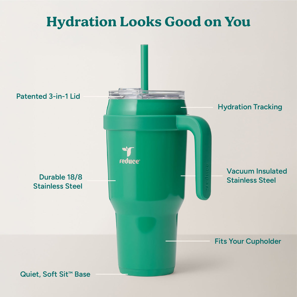 cold1-40-oz-l0 Cold1_40oz_PalmLeaf_Infographic_2.jpg