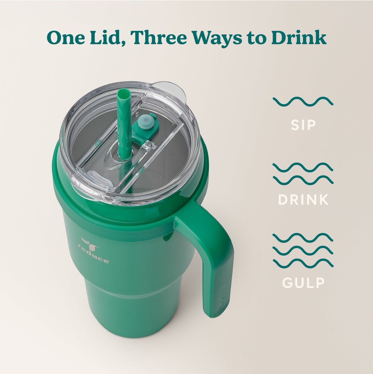 cold1-40-oz-l0 Cold1_40oz_PalmLeaf_Infographic_3.jpg