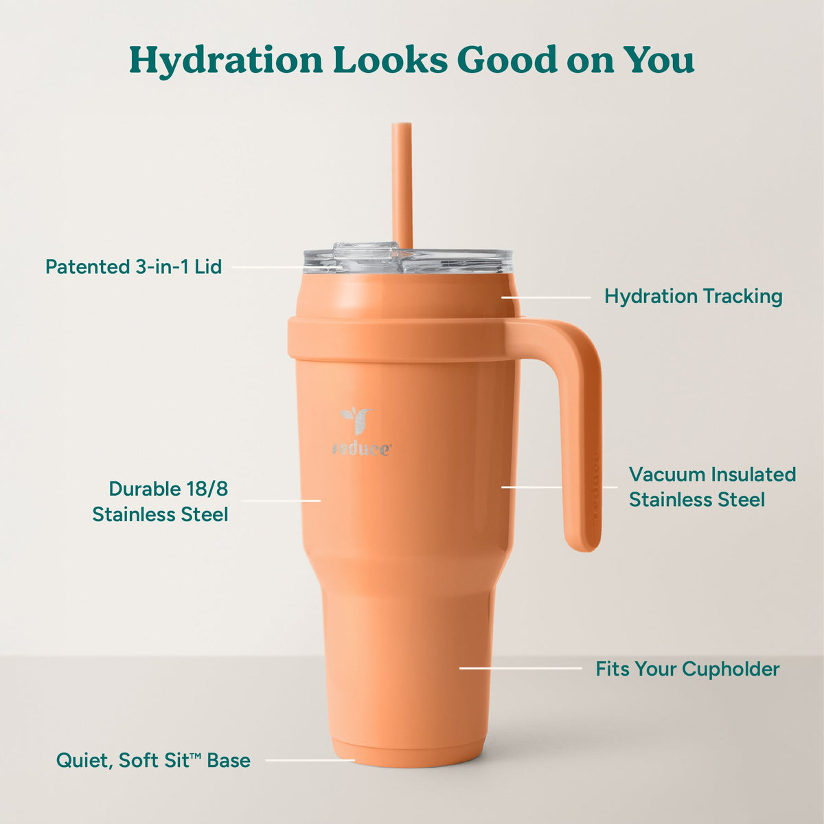 cold1-40-oz-l0 Cold1_40oz_Papaya_Infographic_2.jpg