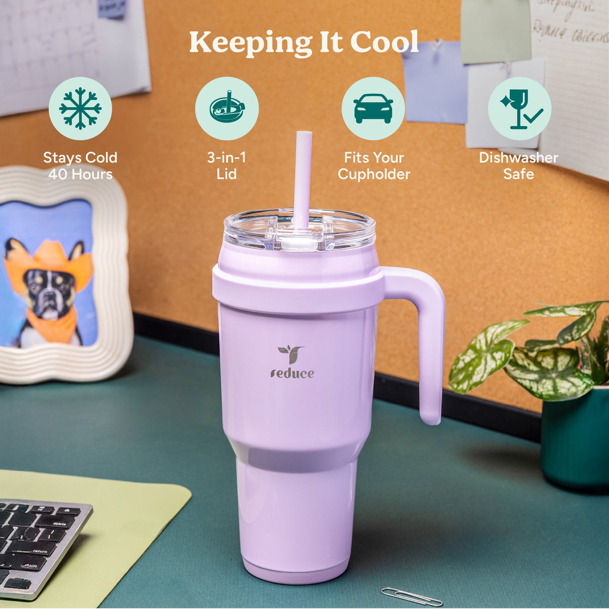 cold1-40-oz-l0 Cold1_40oz_Pineapple_Infographic_1.jpg